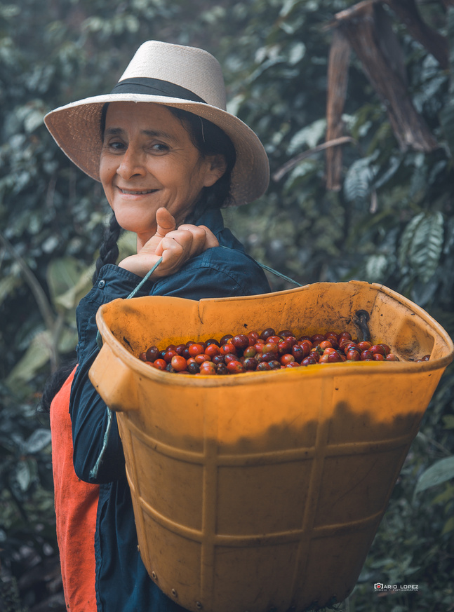 Coffee farmer woman
